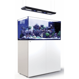 Red Sea Reefer™ Peninsula Deluxe P500 G2+ Blanc (Aquarium + meuble + 2 ReefLED 160S + rampe suspendue)