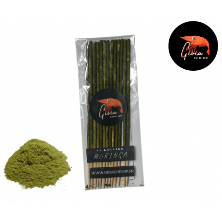 Gioiashrimp 12 lollies moringa BIO