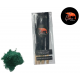 Gioiashrimp 12 lollies Spirulina BIO