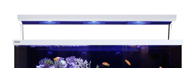red sea max 650 led upgrade