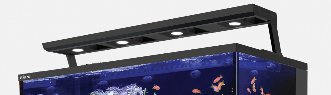 red sea max 650 led upgrade