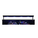 Red Sea Max® S 650 Upgrade kit LED - 4 ReefLED 90 avec Wifi - Noir