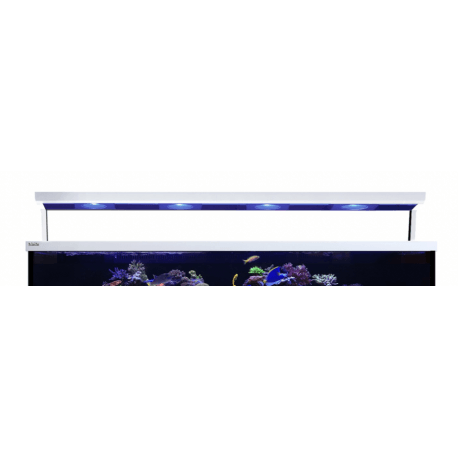 Red Sea Max® S 650 Upgrade kit LED - 4 ReefLED 90 avec Wifi - Blanc