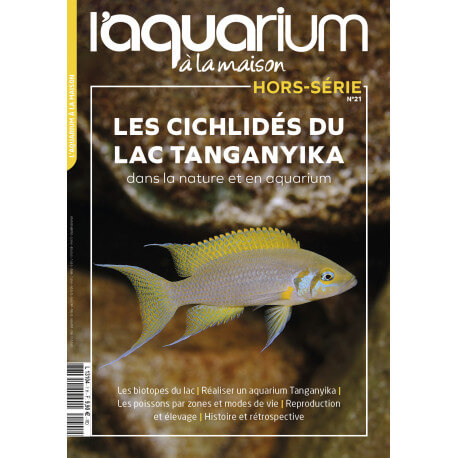 Aquarium à la Maison Hors Série N°21 - Les cichlidés du lac Tanganyika