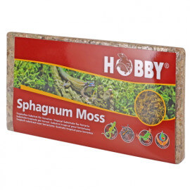 Hobby Spaghnum Moss (sphaigne) 100gr
