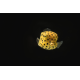 Ostracion cubicus - Poisson-coffre jaune 