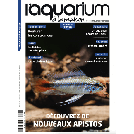 Aquarium à la Maison N°147 - Découvrez de nouveaux apistos