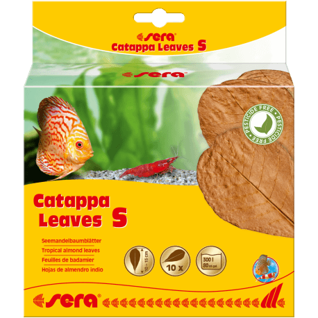 sera Catappa Leaves S 10–15cm