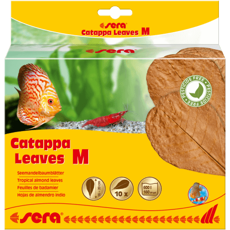 sera Catappa Leaves M 16–20cm