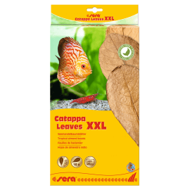 sera Catappa Leaves XXL 30–35cm