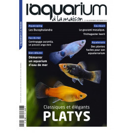 Aquarium à la Maison N°148 - Novembre / Décembre 2021