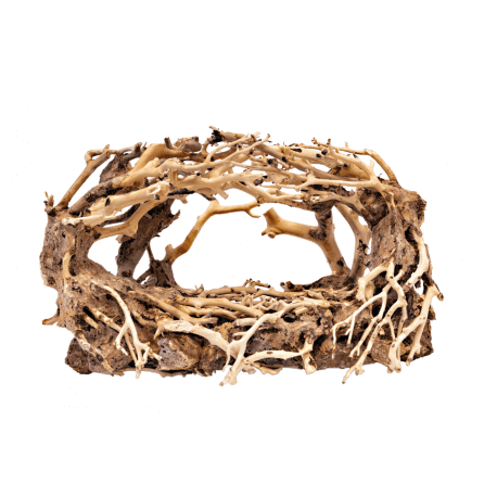 Superfish BONSAI ROCK MEDIUM