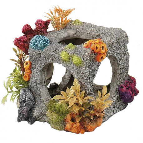 Aqua Della CUBE HABITAT SM