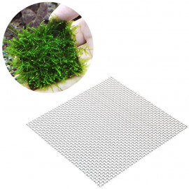 Aquaplante Grille Inox 20 x 10 cm - support pour mousse aquatique