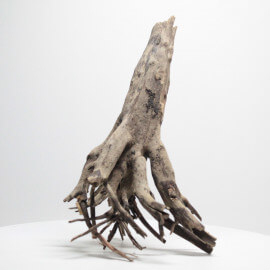 Racine Branche Wood - RBWPB1