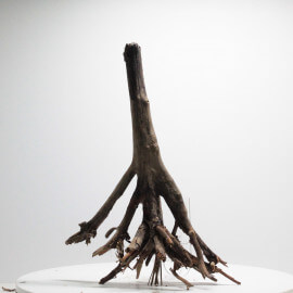 Racine Branche Wood - RBWPB6
