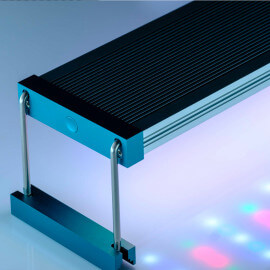 Twinstar LED C-LINE III 200C