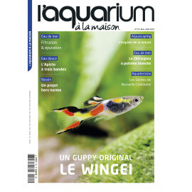 Aquarium à la Maison N°151 - Mai / Juin 2022