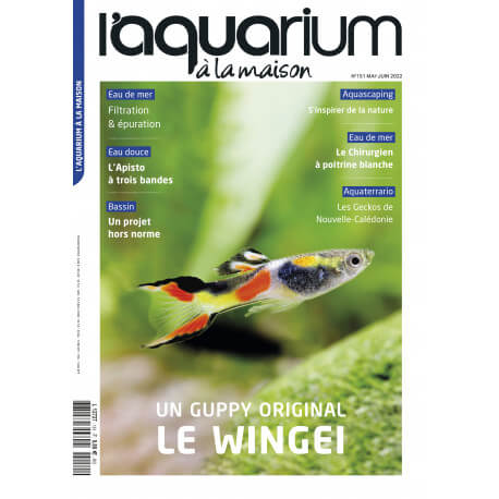 Aquarium à la Maison N°151 - Mai / Juin 2022