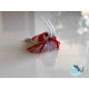 Ceramic Nature Peluche Red Crystal Shrimp