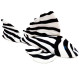 Ceramic Nature Peluche XXL L046 Zebra Pleco