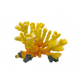 Aquaristics Corail SH325-Y