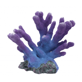 Aquaristics Corail Bleu / Violet