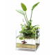 DOOA Neo Glass AIR W20×D20×H20 (cm)