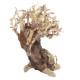 Dupla Bonsai Crooked Root S 23X10X17cm