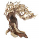 Dupla Bonsai Crooked Root S 23X10X17cm