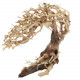 Dupla Bonsai Crooked Root M 30X13X23cm