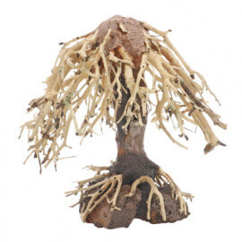 Dupla Bonsai Weeping Willow 1 S 15X10X16cm