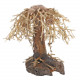 Dupla Bonsai Weeping Willow 2 S 22X18X13cm