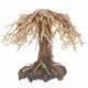 Dupla Bonsai Weeping Willow 2 S 22X18X13cm