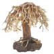 Dupla Bonsai Weeping Willow 2 S 22X18X13cm