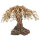 Dupla Bonsai Weeping Willow 3 L 40X20X30cm