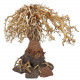 Dupla Bonsai Weeping Willow 3 L 40X20X30cm