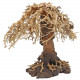 Dupla Bonsai Weeping Willow 3 L 40X20X30cm