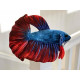 Ceramic Nature Peluche Betta