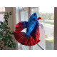 Ceramic Nature Peluche Betta