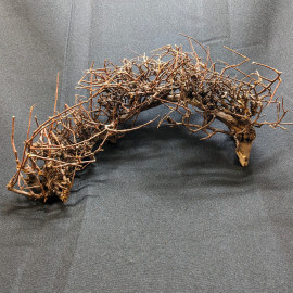 Racine Thaï Wood  - TW13