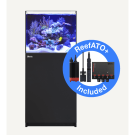 Red Sea Reefer™ 200 G2+ Noir (Aqua + mbl)