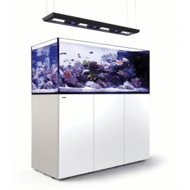 Red Sea Reefer™ Peninsula Deluxe S 700 G2+ Blanc (Aquarium + meuble + 2 ReefLED 160S + rampe suspendue)