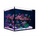 Red Sea Desktop® Cube + Meuble Blanc