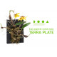 DOOA Terra Plate