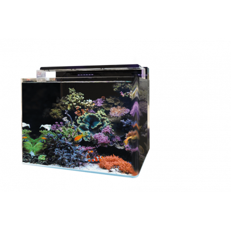 4 en 1 filtre interne d'aquarium nouvelle génération système de