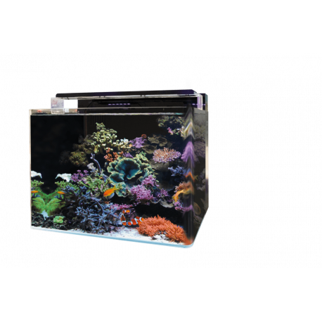 ② Aquarium Nano cube 60l/ filtre et support — Poissons