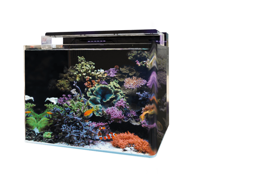 Pompe à eau et tuyau à air pour aquarium Nano de 40 L