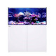 Red Sea Reefer™ MAX 350 G2+ Blanc (AQUARIUM+MEUBLE+TOUT L'ÉQUIPEMENT)