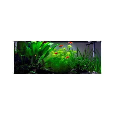 Eclairage Eclairage pour Nano-Aquariums > sera LED light 3 x 2 W pour  aquarium et terrarium pour aquarium - 57.89€